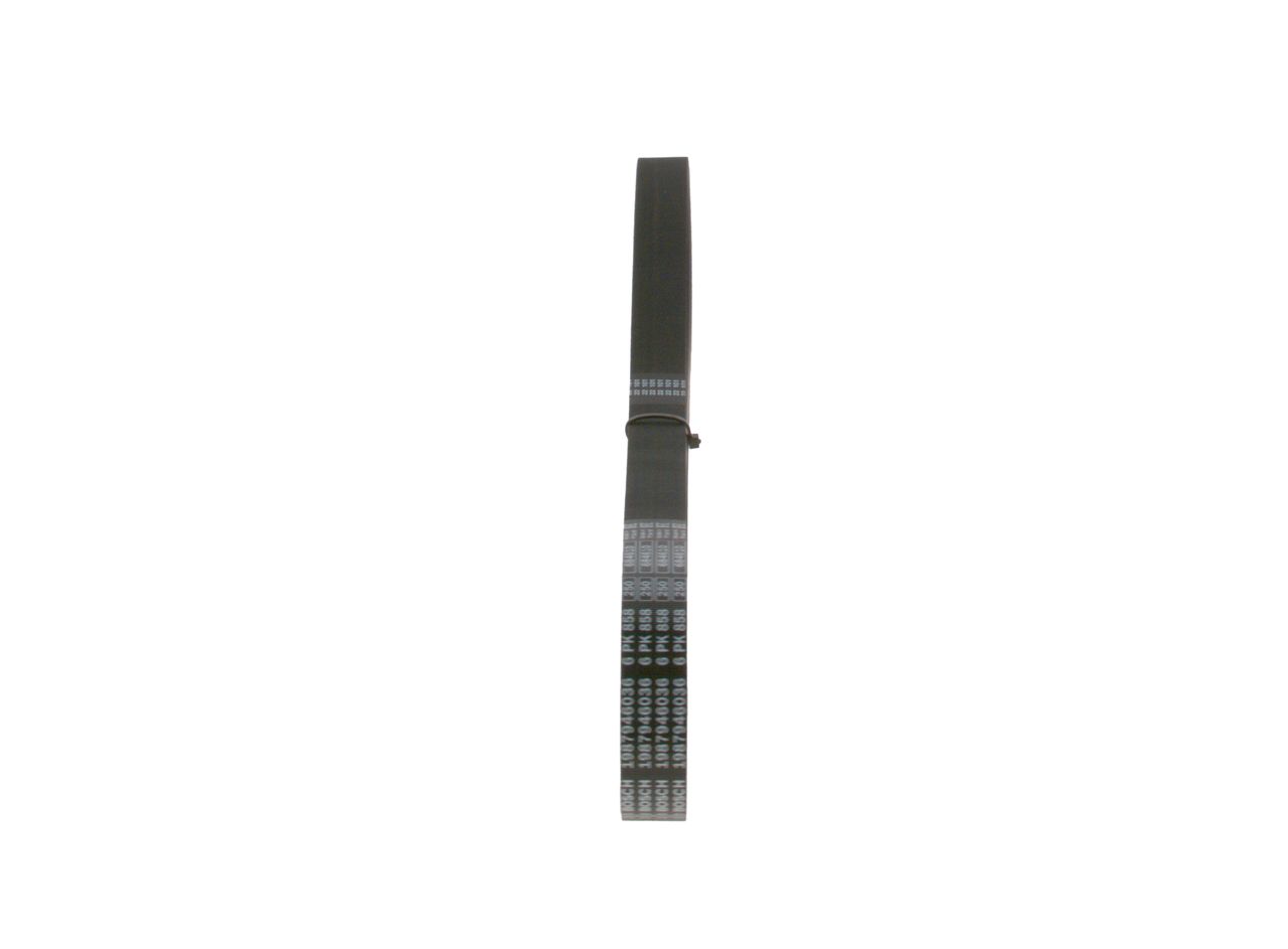 V-ribbed Belt-3