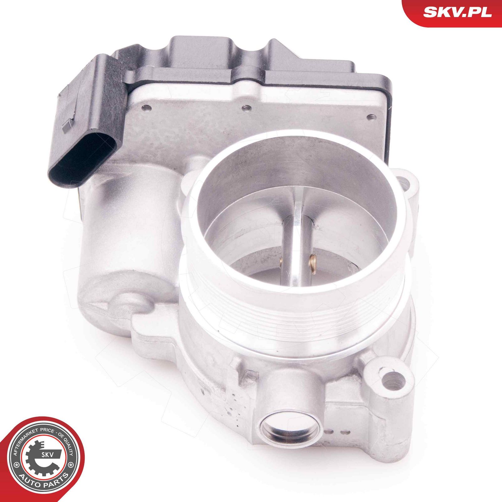 Throttle Body-1