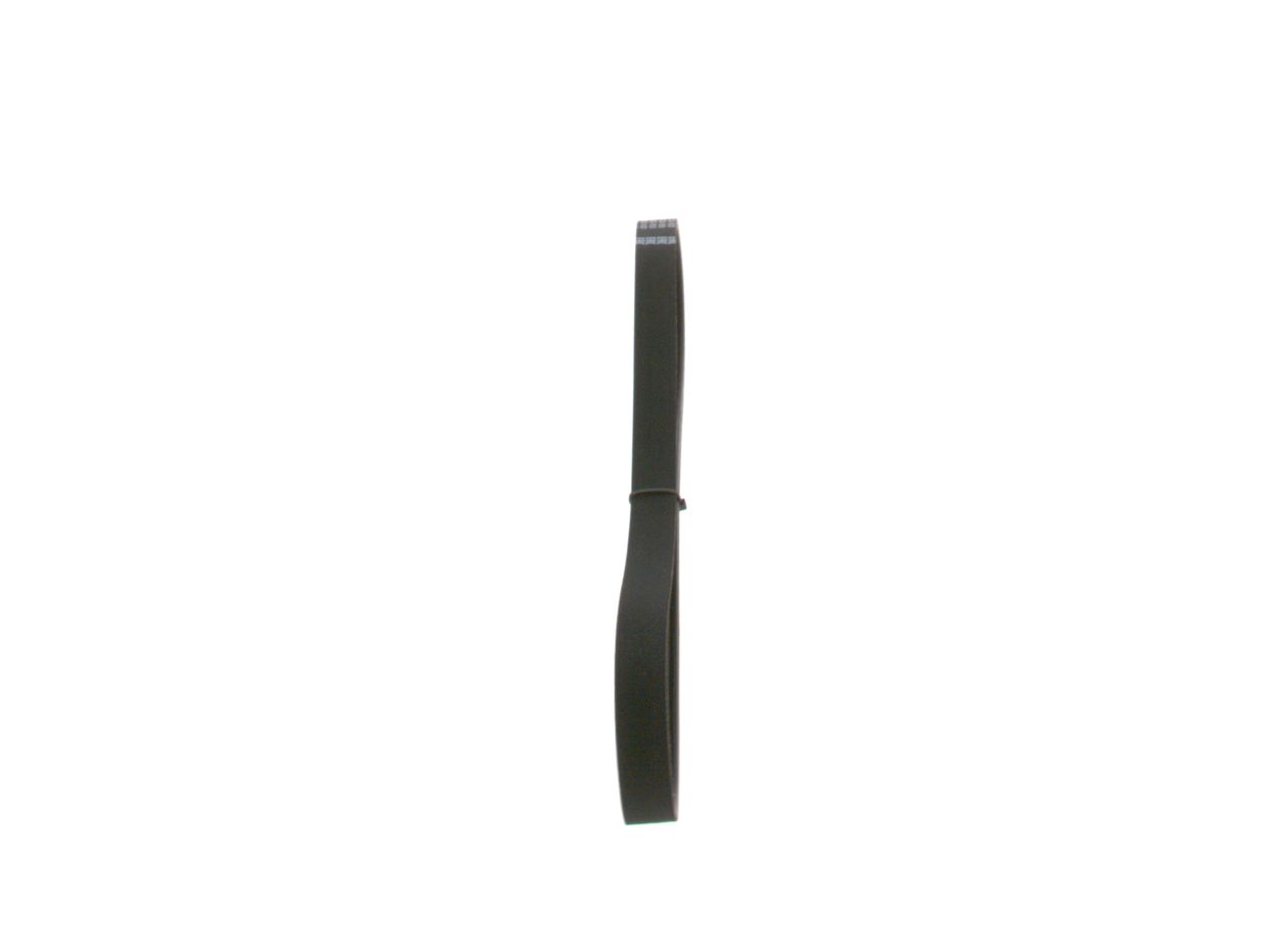 V-ribbed Belt-3