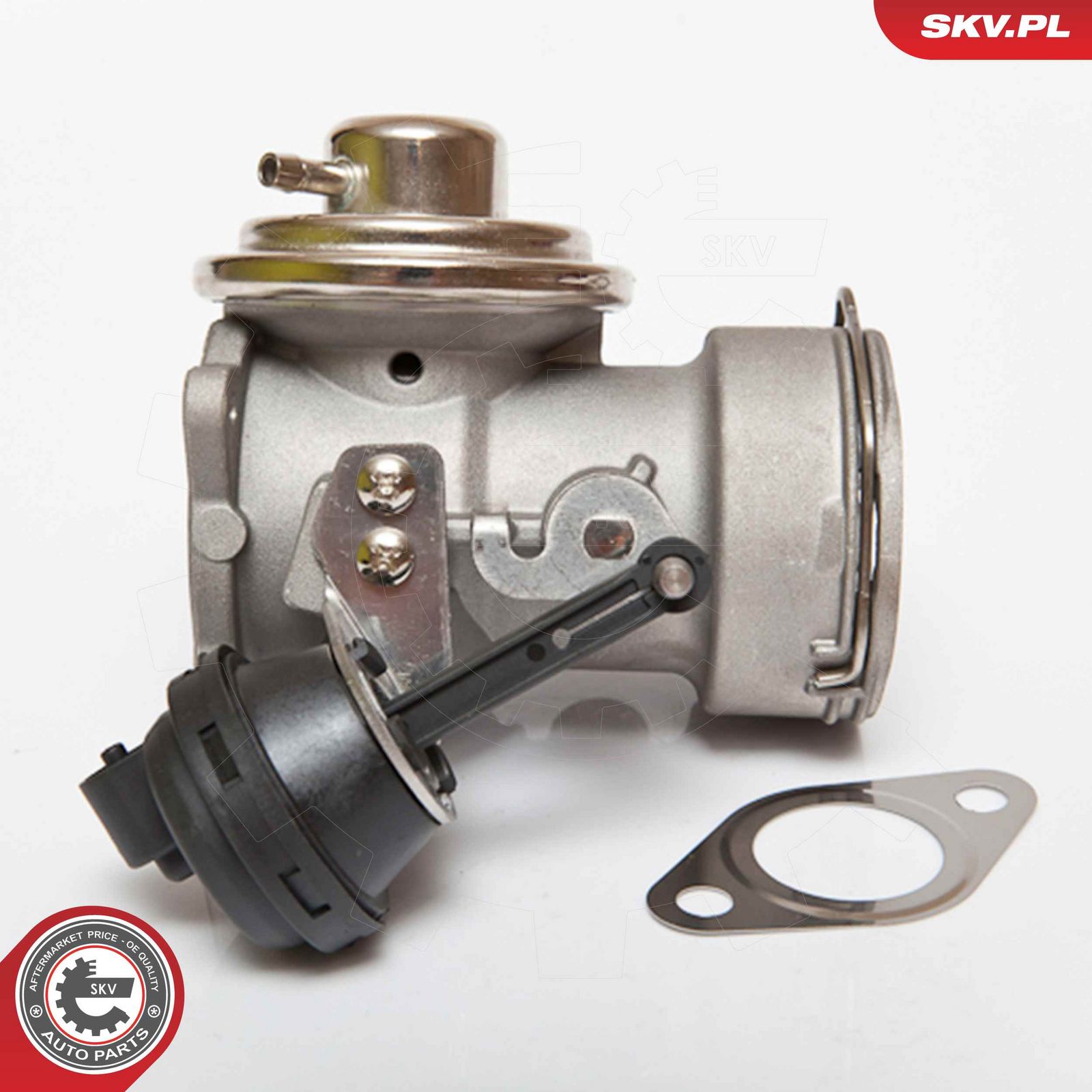 EGR Valve-main