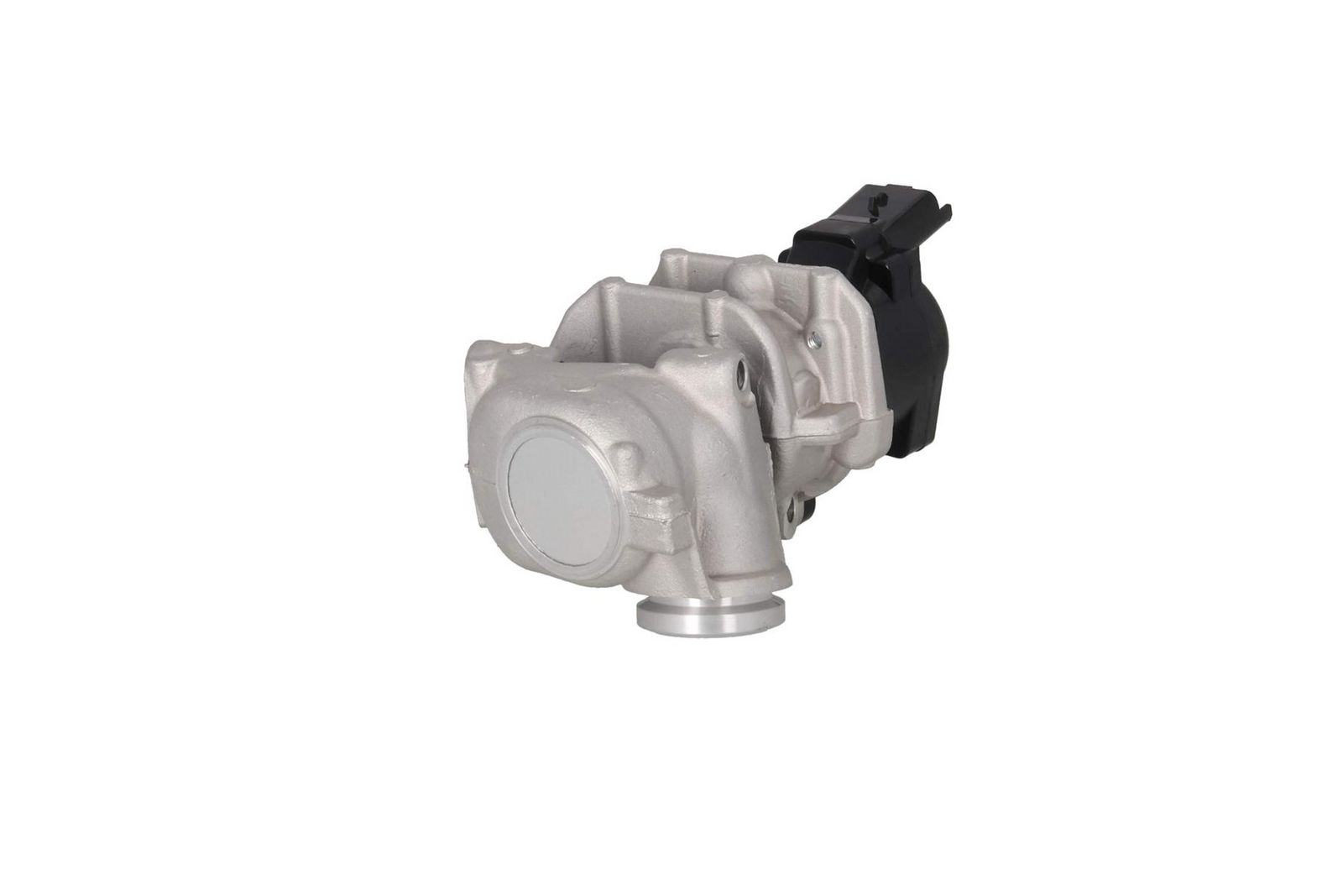 EGR Valve-2