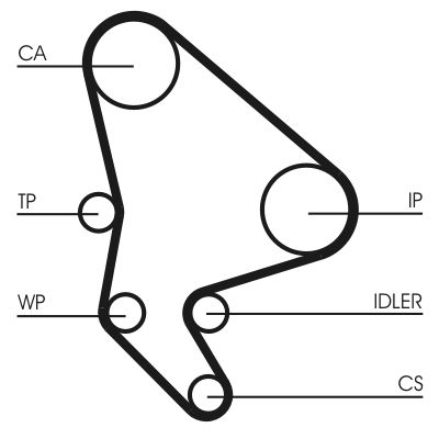 Timing Belt-1