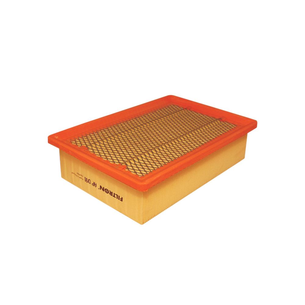 FILTRON AP 091 Air filter