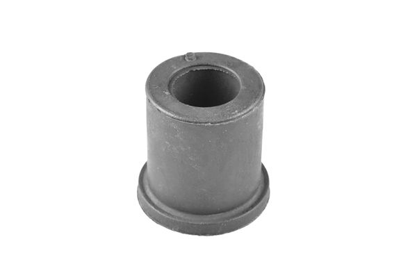 TEDGUM 00502453 Mounting, leaf spring
