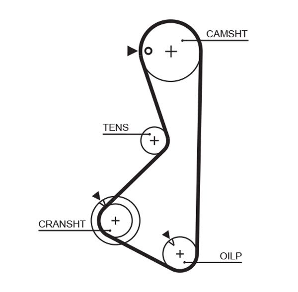Timing Belt