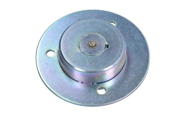 Central Magnet, camshaft adjustment-1