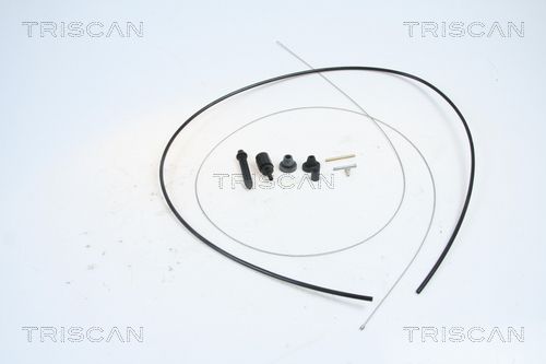 TRISCAN 8140 25314 Accelerator cable