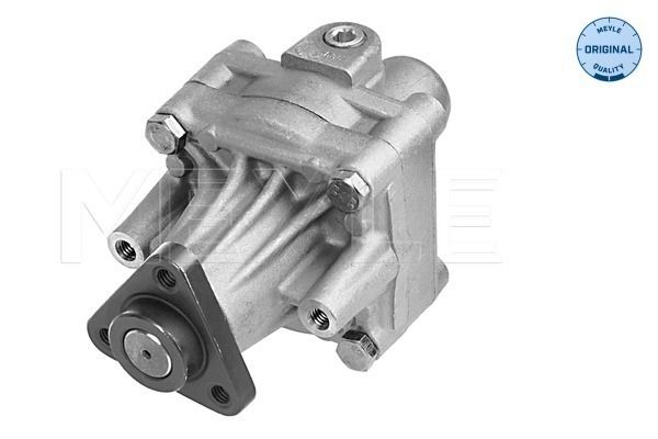Hydraulic Pump, steering-1