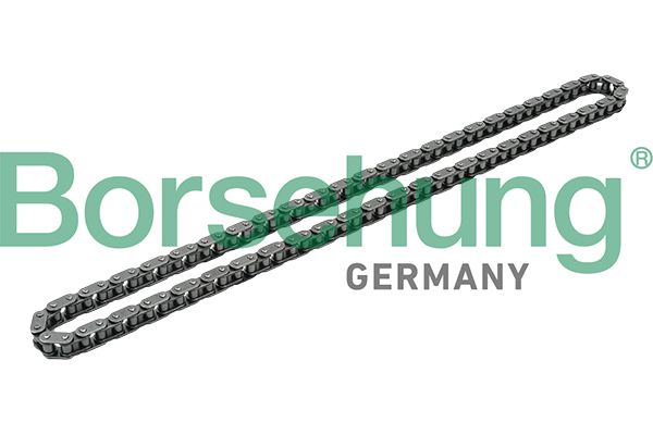 BORSEHUNG B1C017 Timing chain
