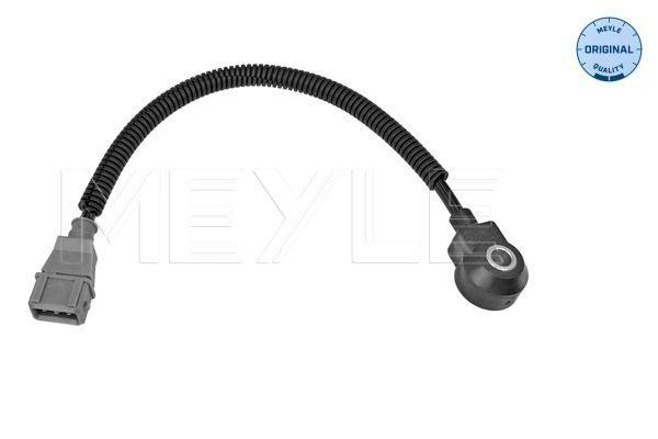 Knock Sensor-main