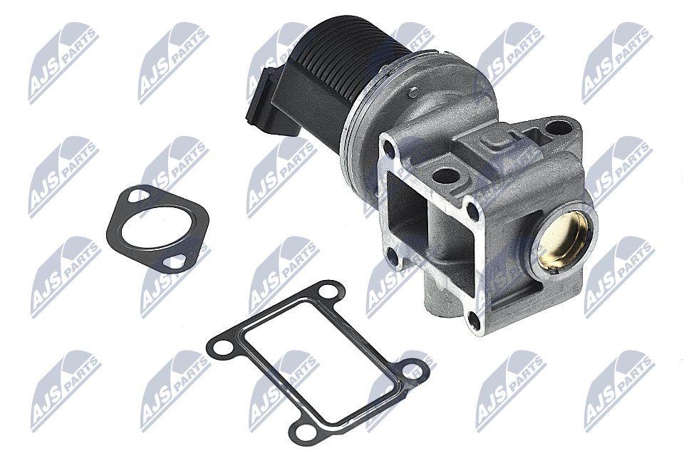 EGR Valve-4
