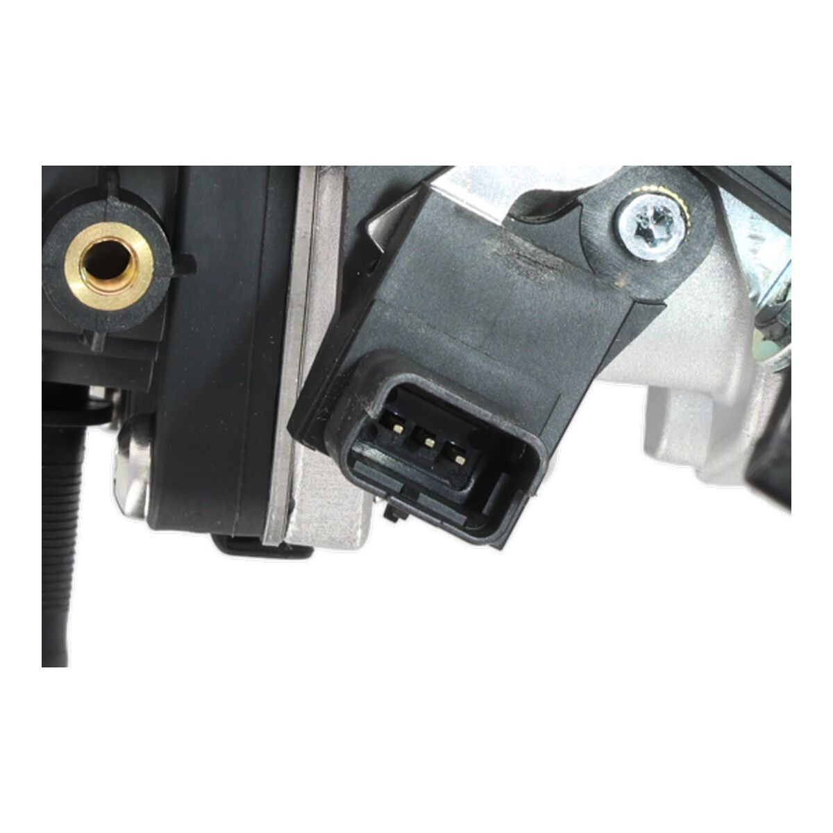 EGR Module-4