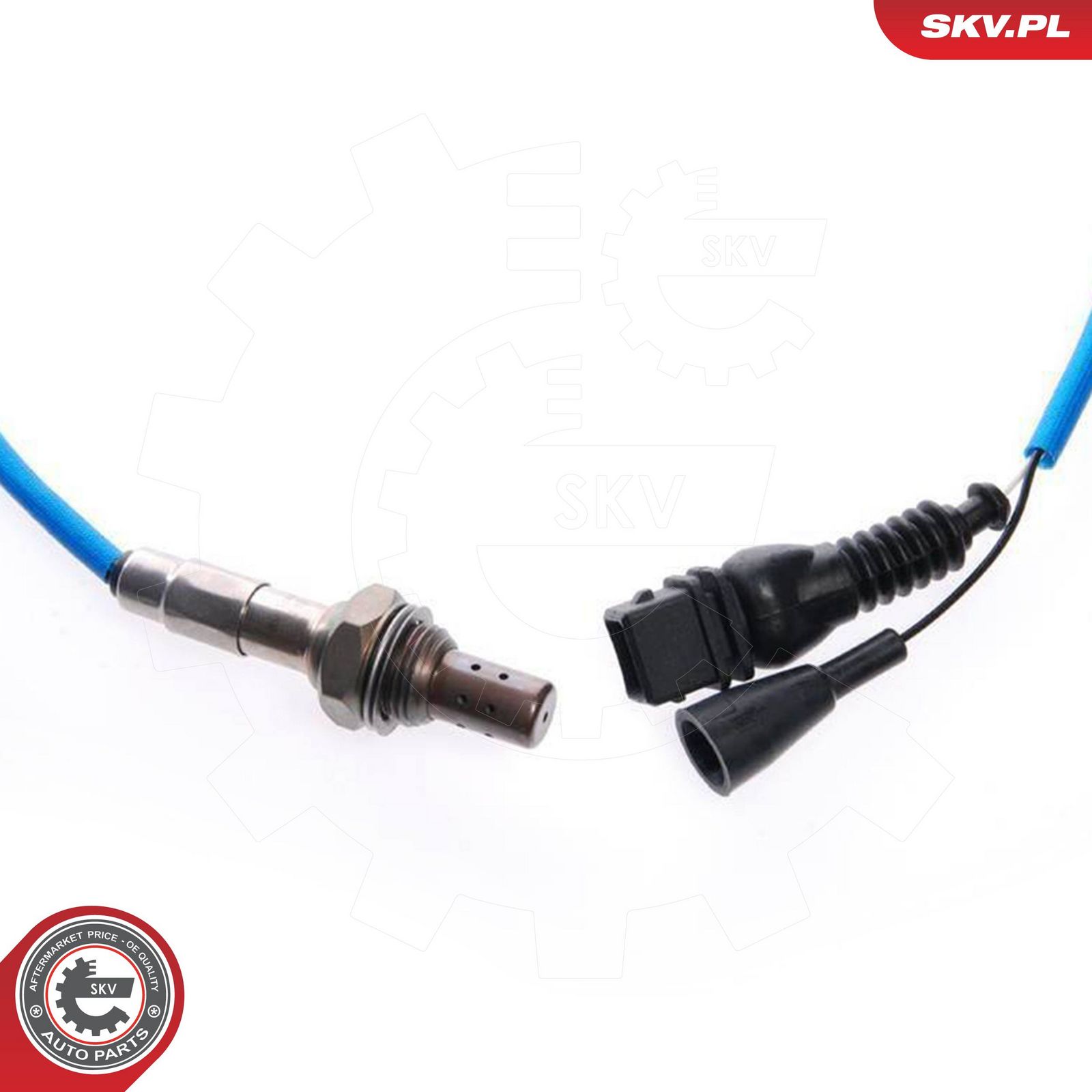 Oxygen Sensor