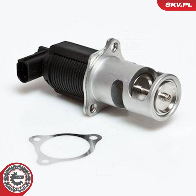 EGR Valve-3