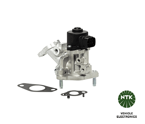 EGR Valve-1