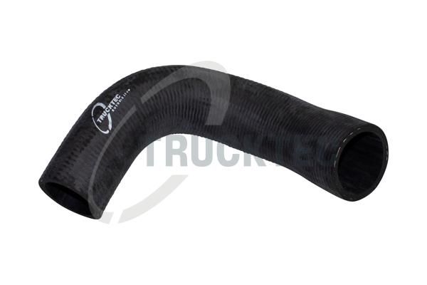 TRUCKTEC AUTOMOTIVE 08.19.031 Radiator hose