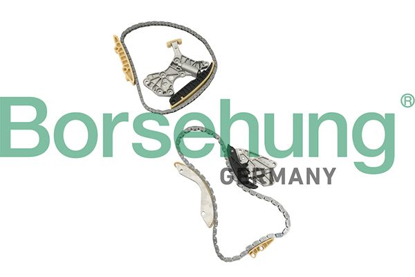 BORSEHUNG B18845 Timing chain kit