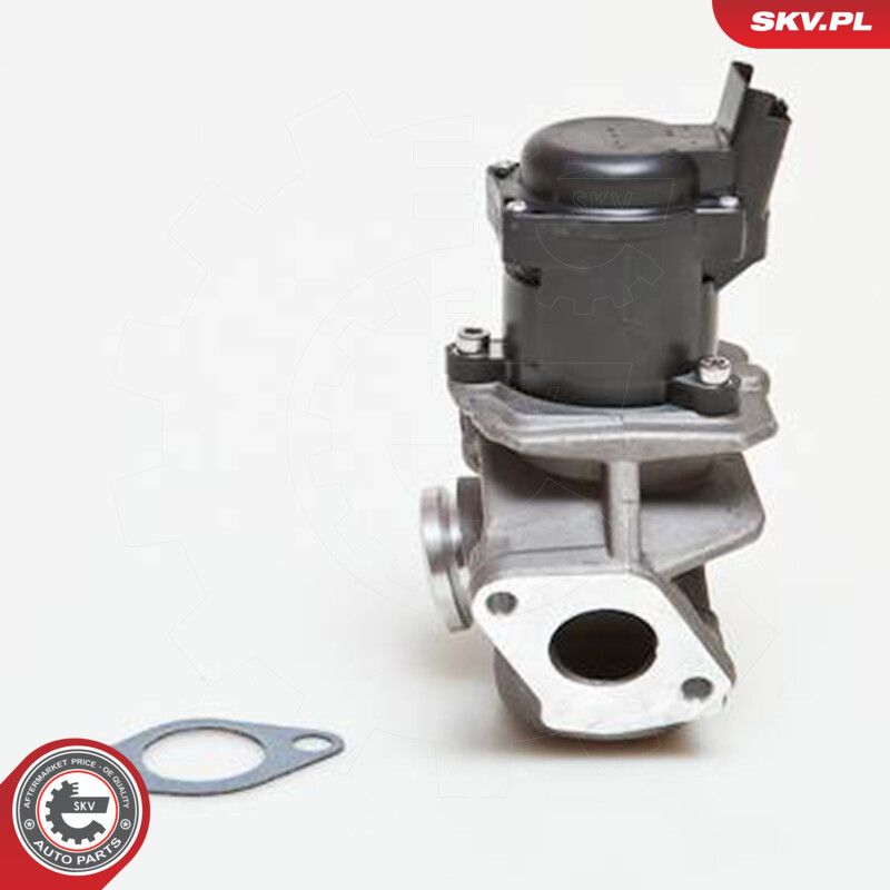 EGR Valve-3