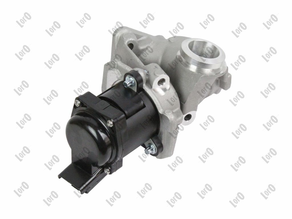 EGR Valve-4