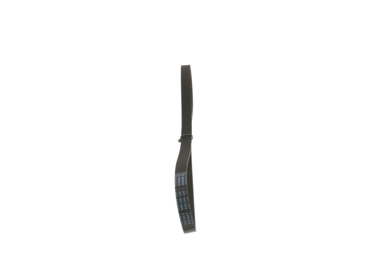 V-ribbed Belt-1