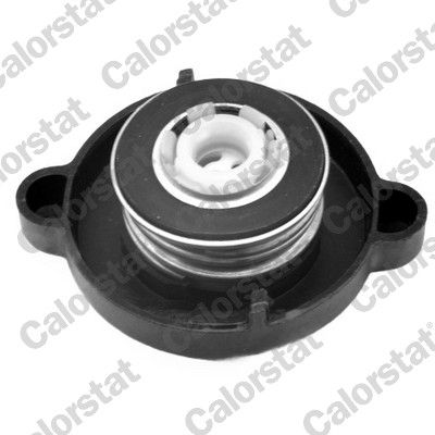Cap, coolant tank-1