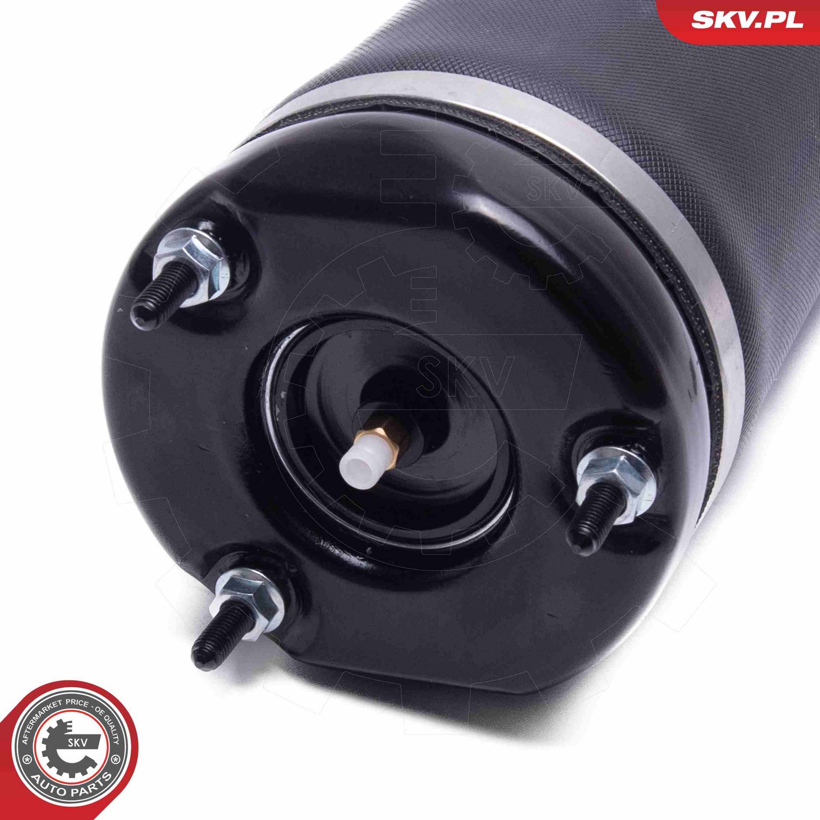 Air Suspension Strut-4