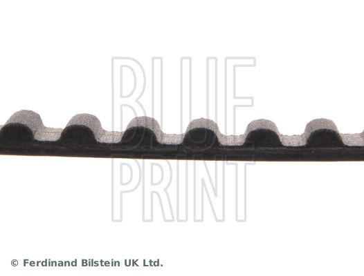 Timing Belt-1