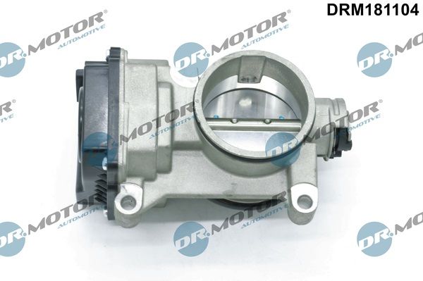 Throttle Body-1