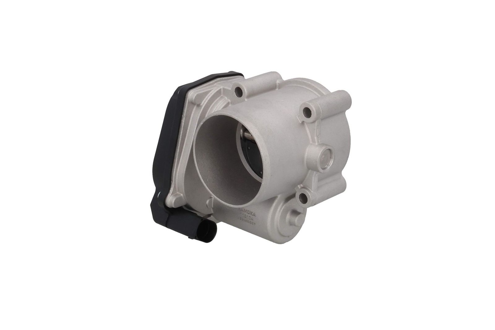 Throttle Body-1