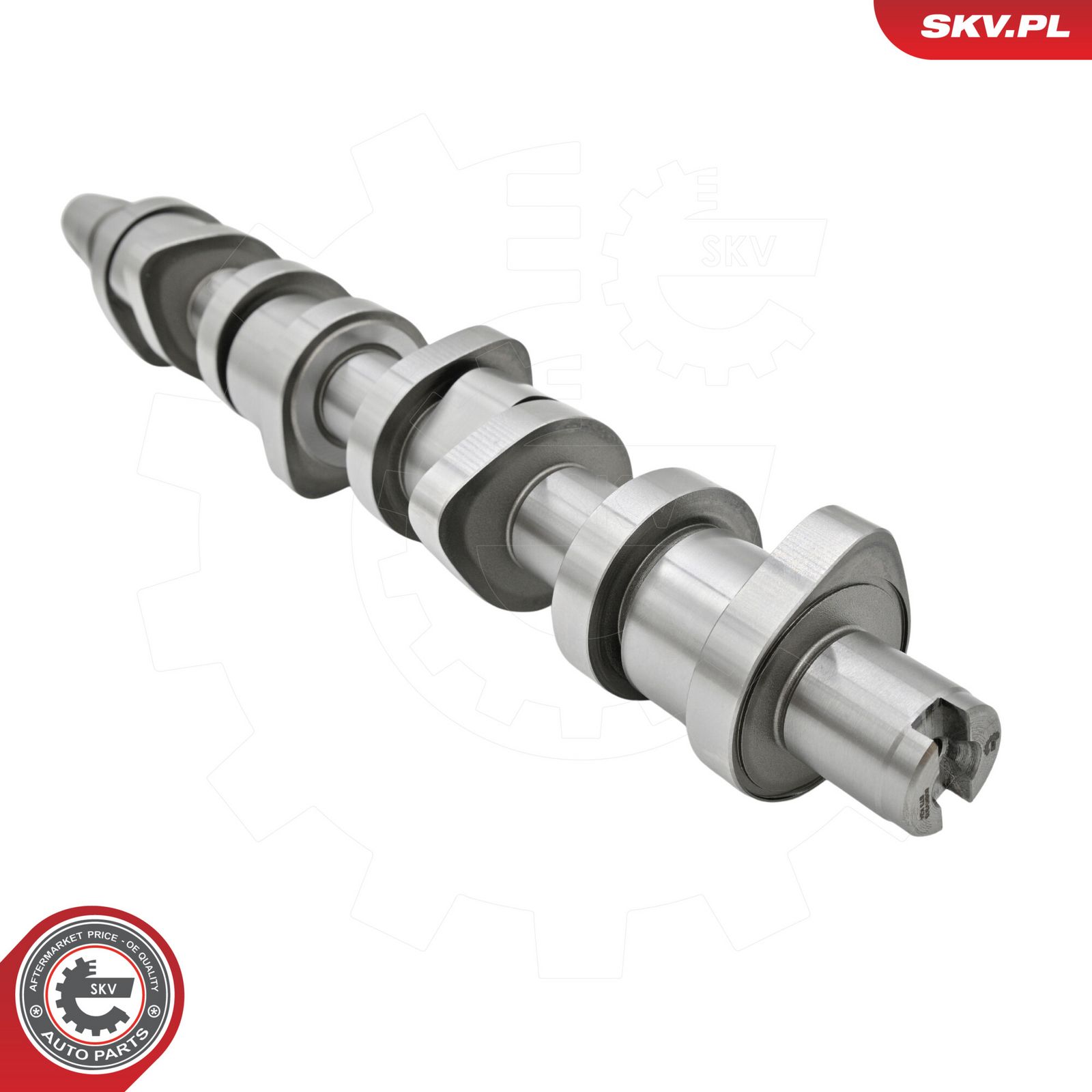 Camshaft Kit-3