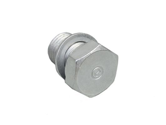 Screw Plug, oil sump-1