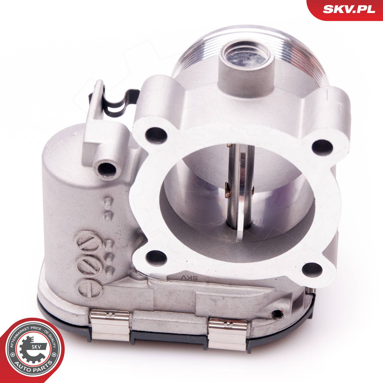 Throttle Body-1