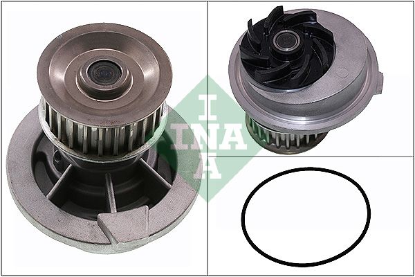 SCHAEFFLER INA 538 0131 10 Water pump, engine cooling