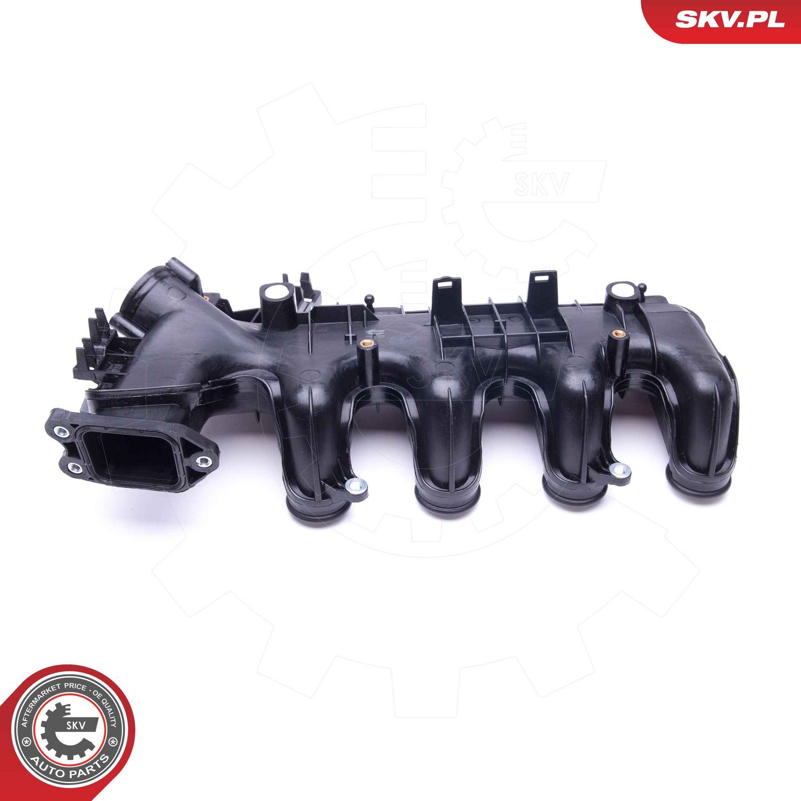 ESEN SKV 49SKV022 Intake manifold module