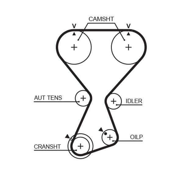 GATES T313 Timing belt