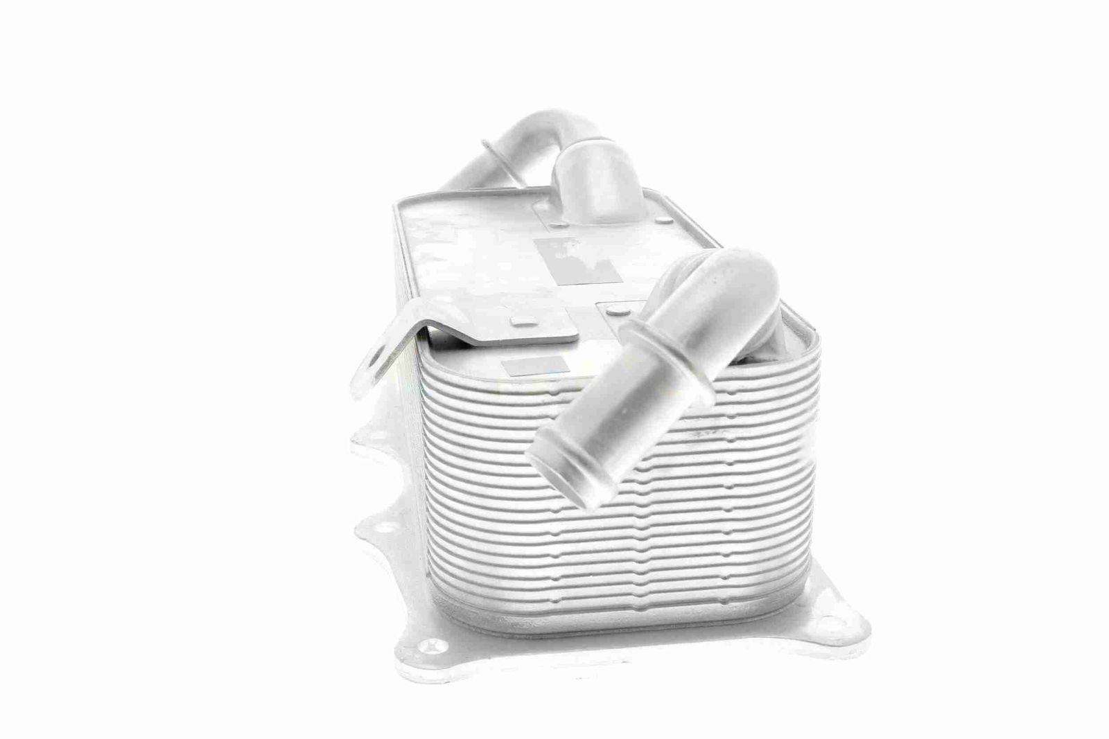 Oil Cooler, engine oil-3