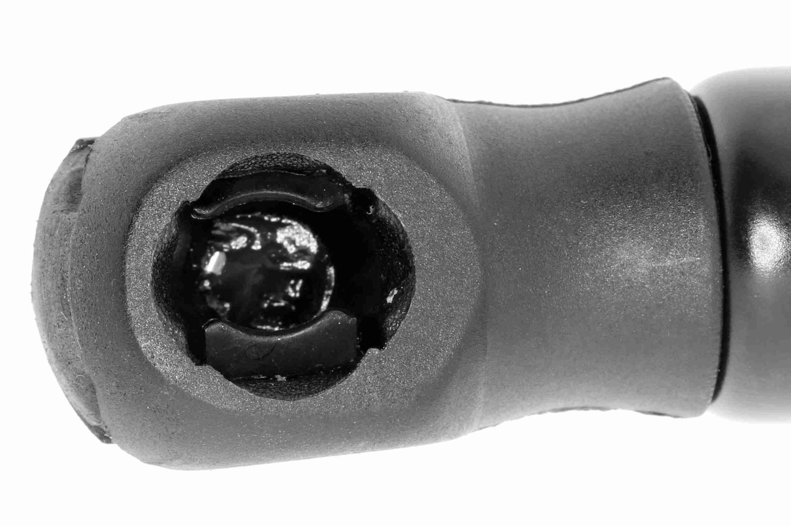Gas Spring, bonnet-1