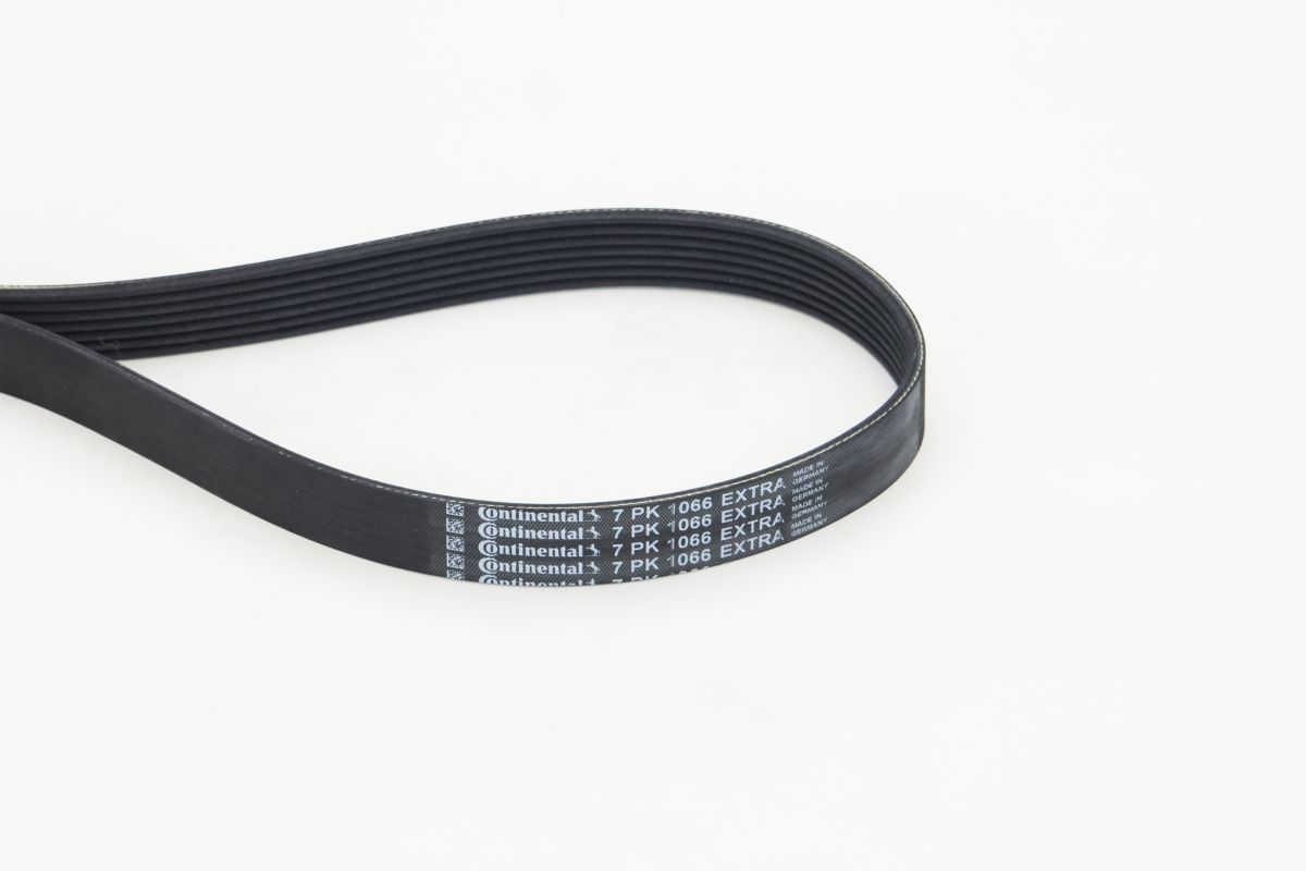 V-ribbed Belt-main