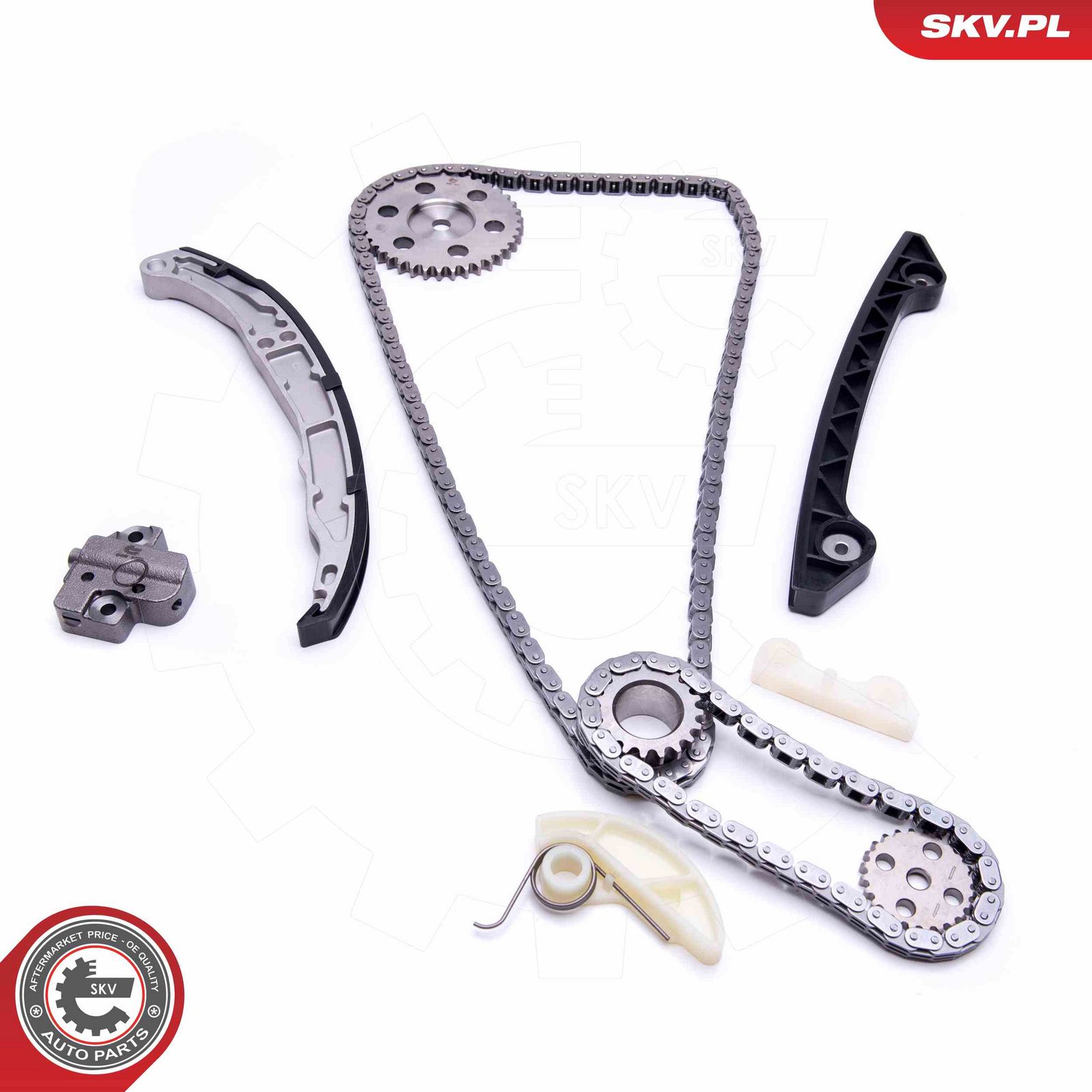 ESEN SKV 21SKV242 Timing chain kit