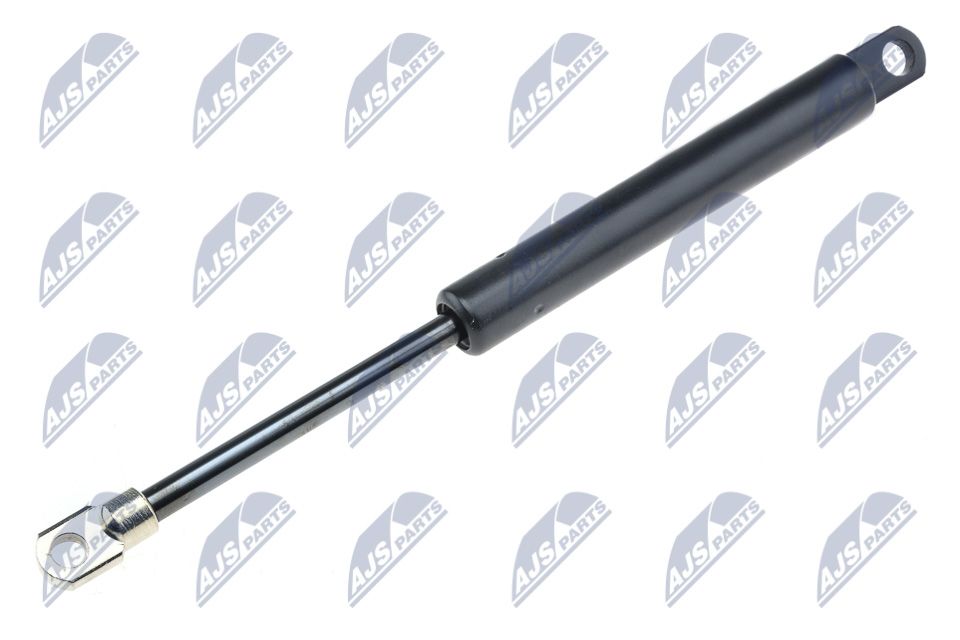 NTY AE-BM-028 Gas spring, bonnet