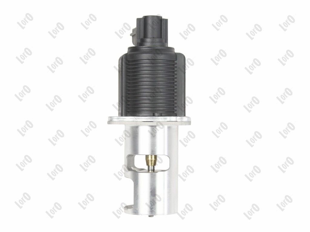EGR Valve-3