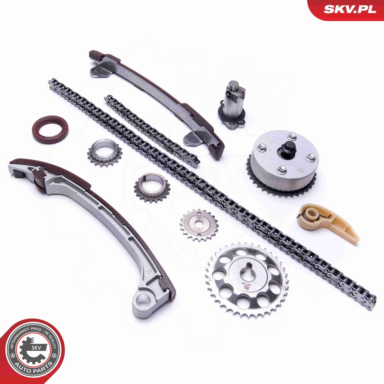 ESEN SKV 21SKV197 Timing chain kit