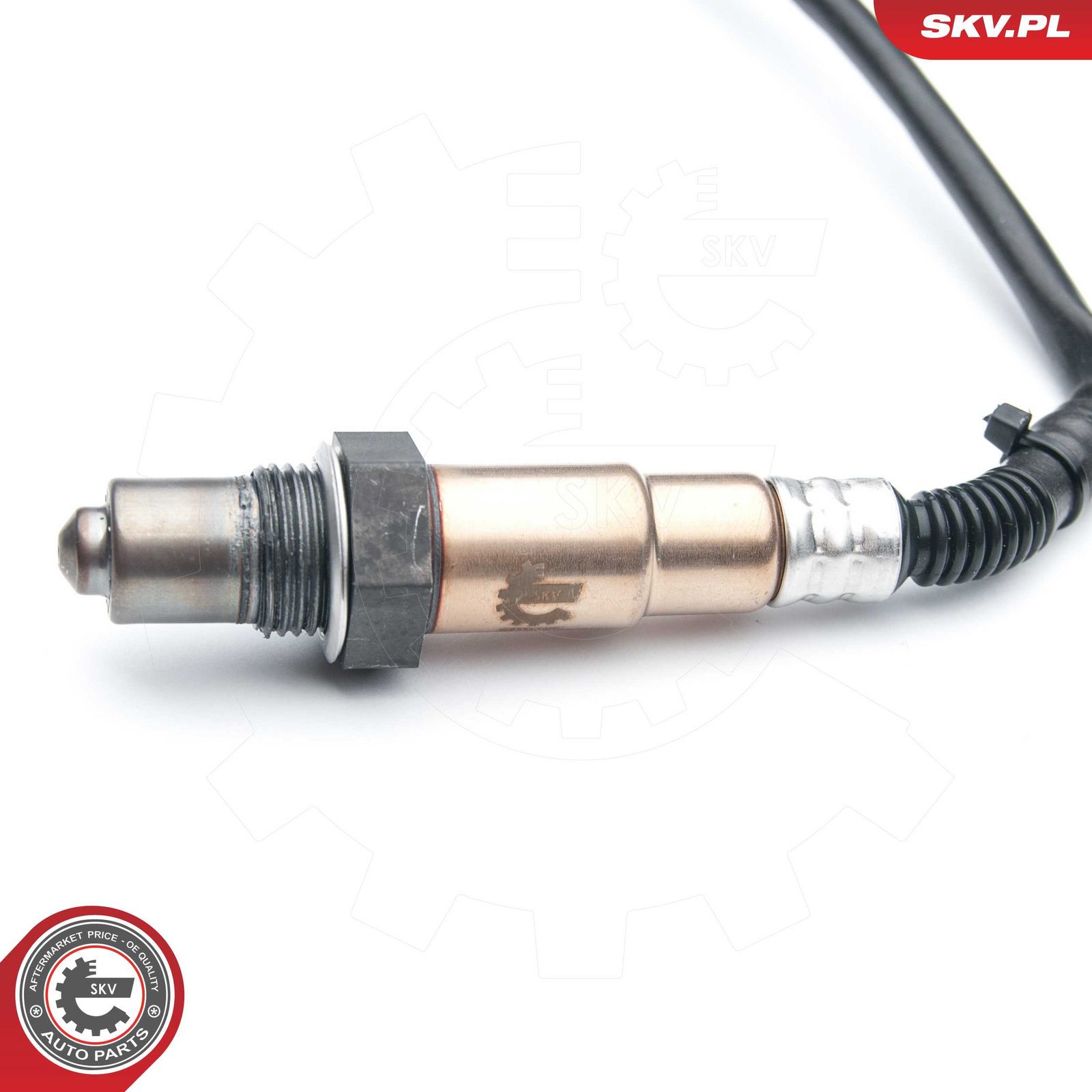 Oxygen Sensor-1