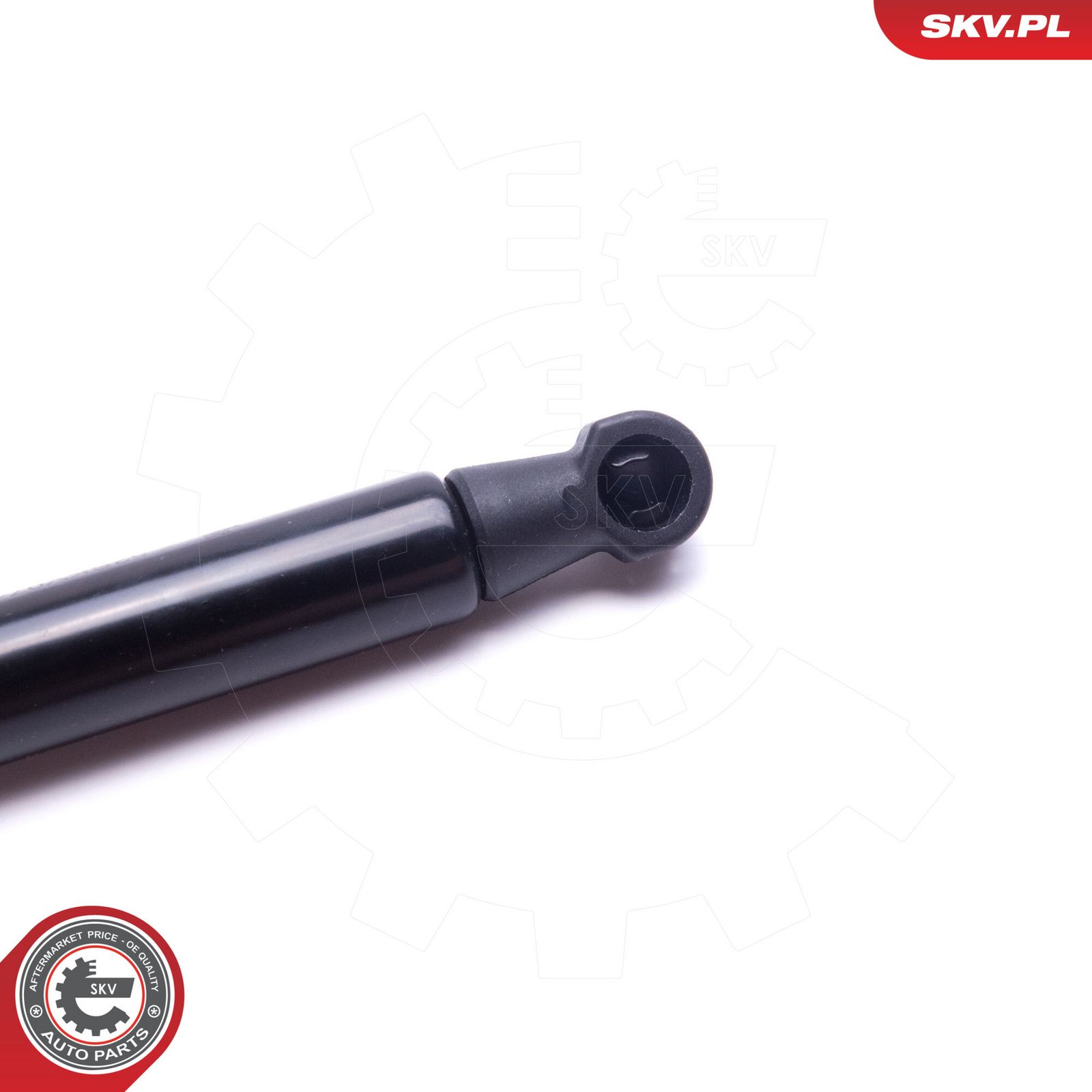 Gas Spring, bonnet-1