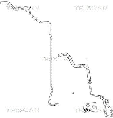 TRISCAN 8516 29011 Hydraulic hose, steering