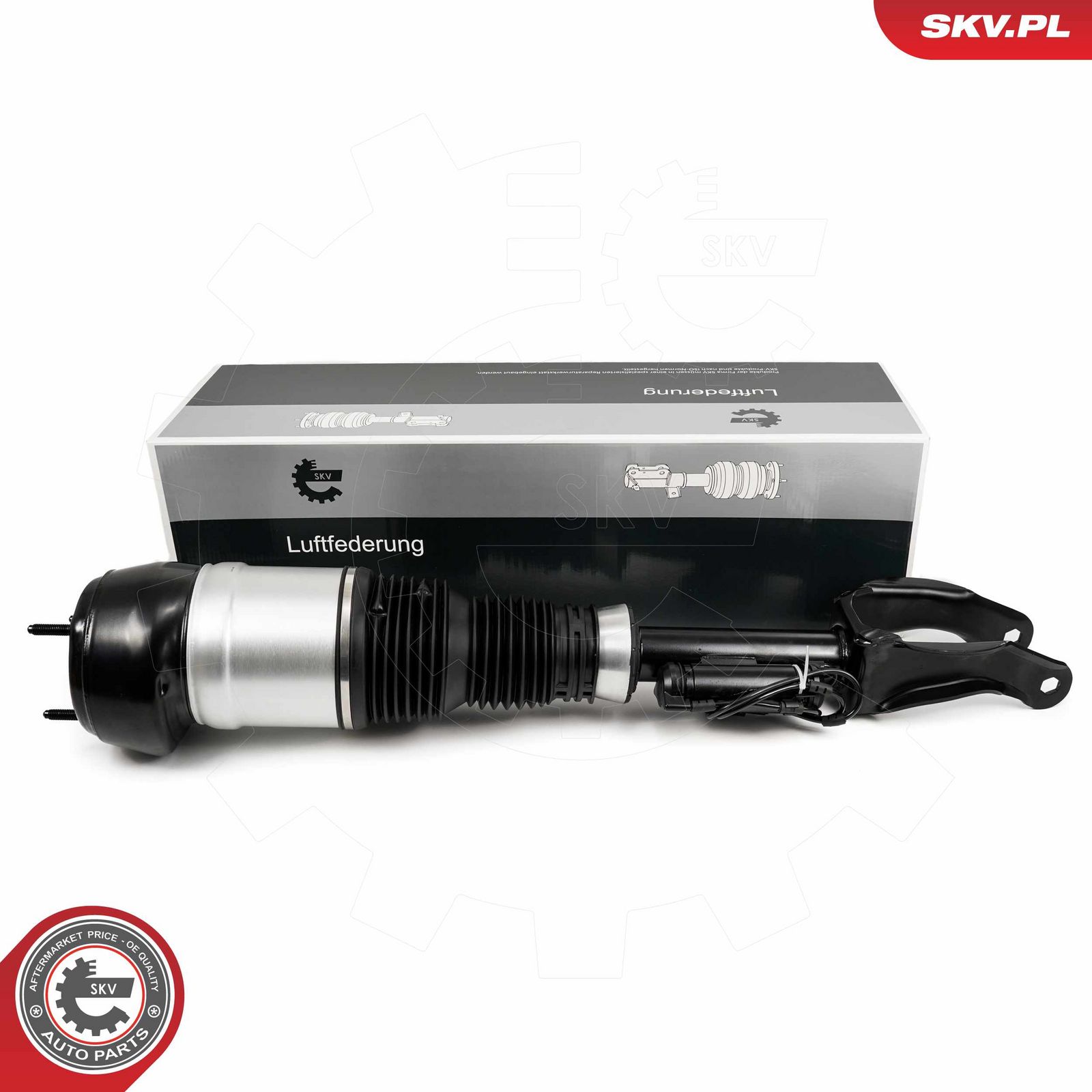 Air Suspension Strut-5