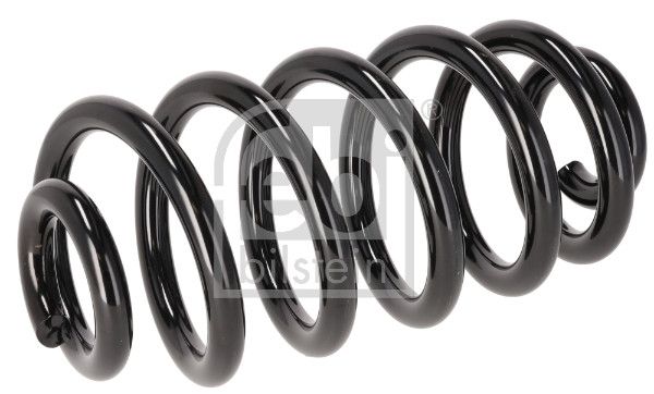 Suspension Spring-main