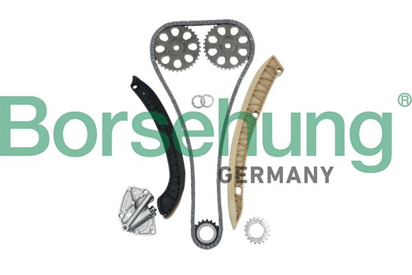 BORSEHUNG B16295 Timing chain kit
