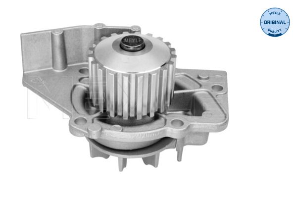 Water Pump, engine cooling-1
