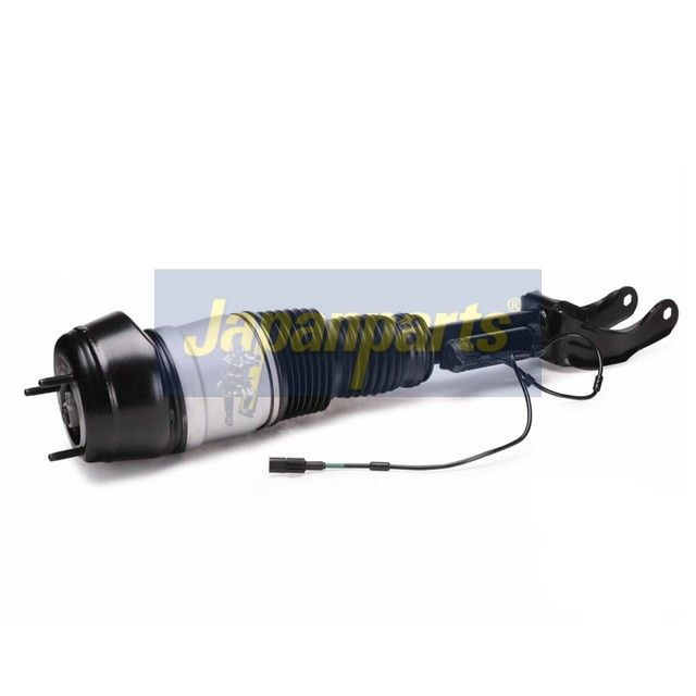 Air Suspension Strut-1
